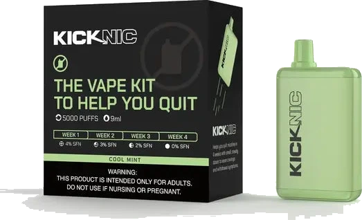 Well Versed KickNic Vape Kit image 1